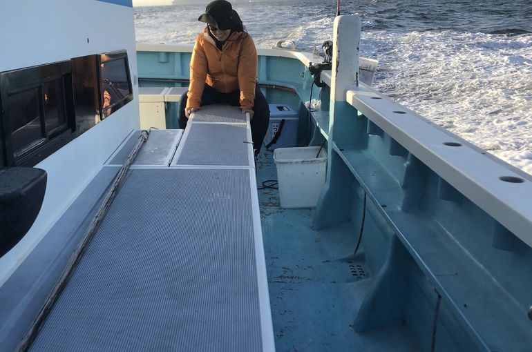 しがみつくまる